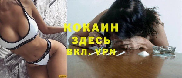 spice Каменка