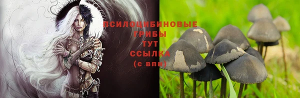 мяу мяу кристалл Заводоуковск