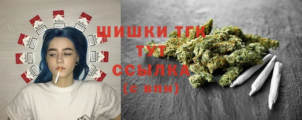 спайс Инсар